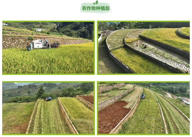 1737994215836917.jpg 111111111111.jpg